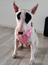Arnes Doble Agarre Rosa